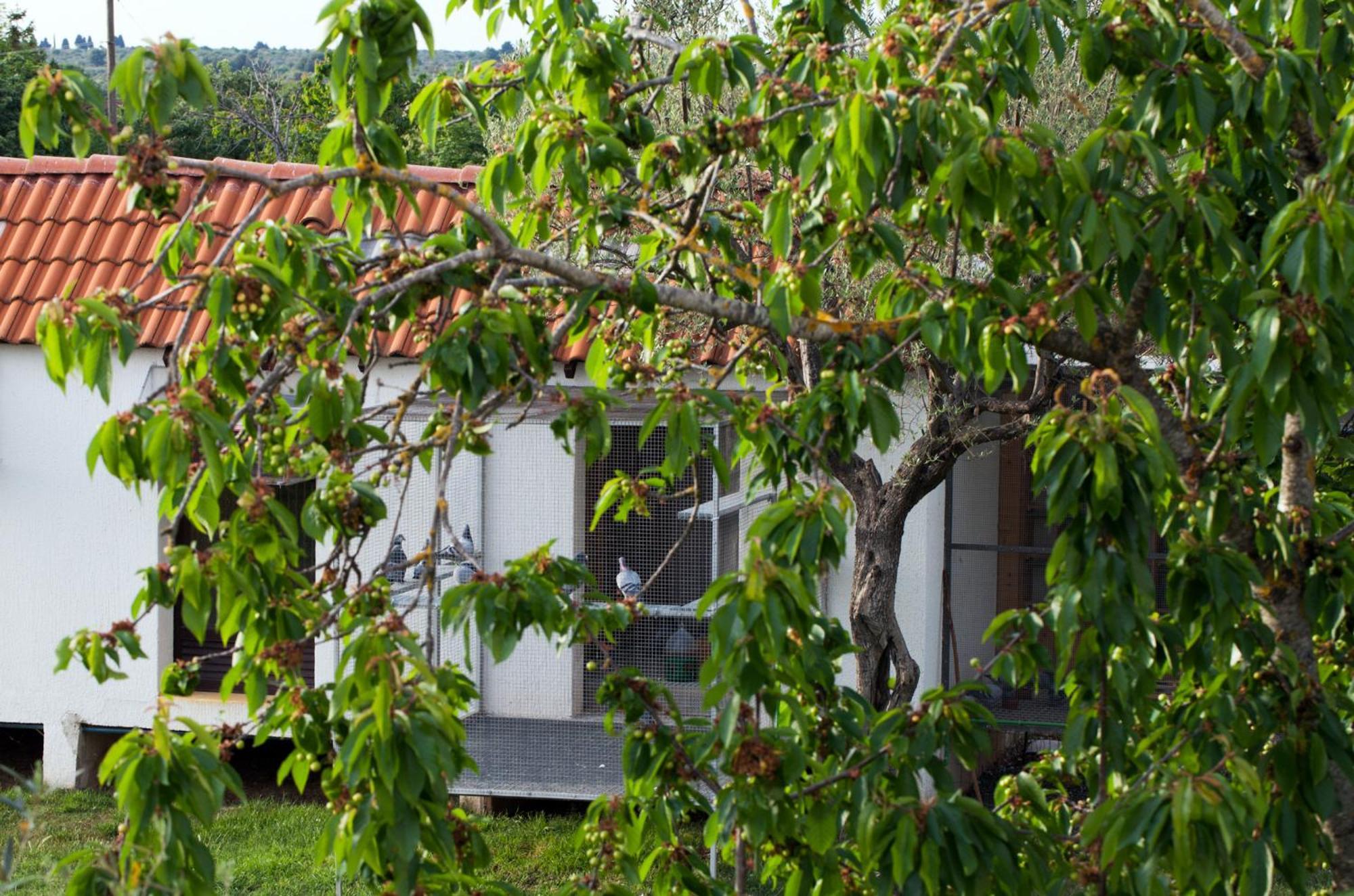 B&B Moderno Fažana Pokój zdjęcie